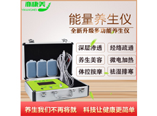 能量养生仪
