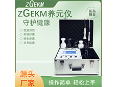 ZGEKM养元仪