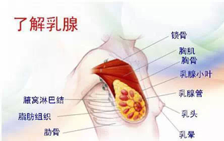 a9910bb9c8f5428e881e675e908f134d.jpg