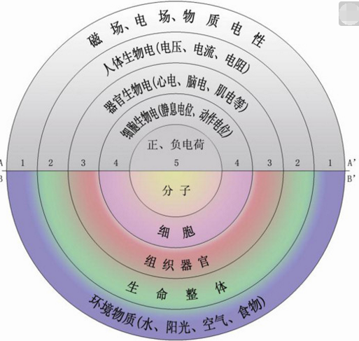 QQ截图20170513152858.png