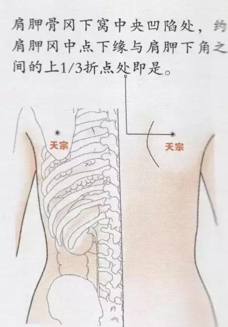DDS生物电5个穴位解除颈椎病痛苦