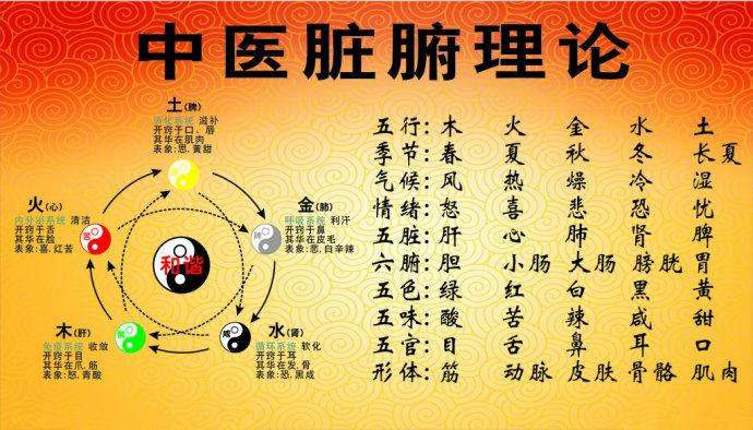 中医理论的“中医藏象说”